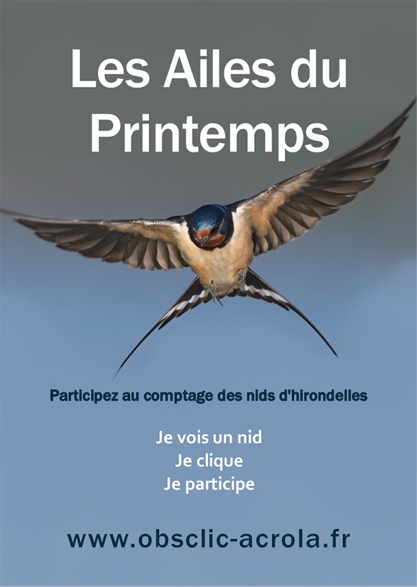 Les Ailes du Printemps