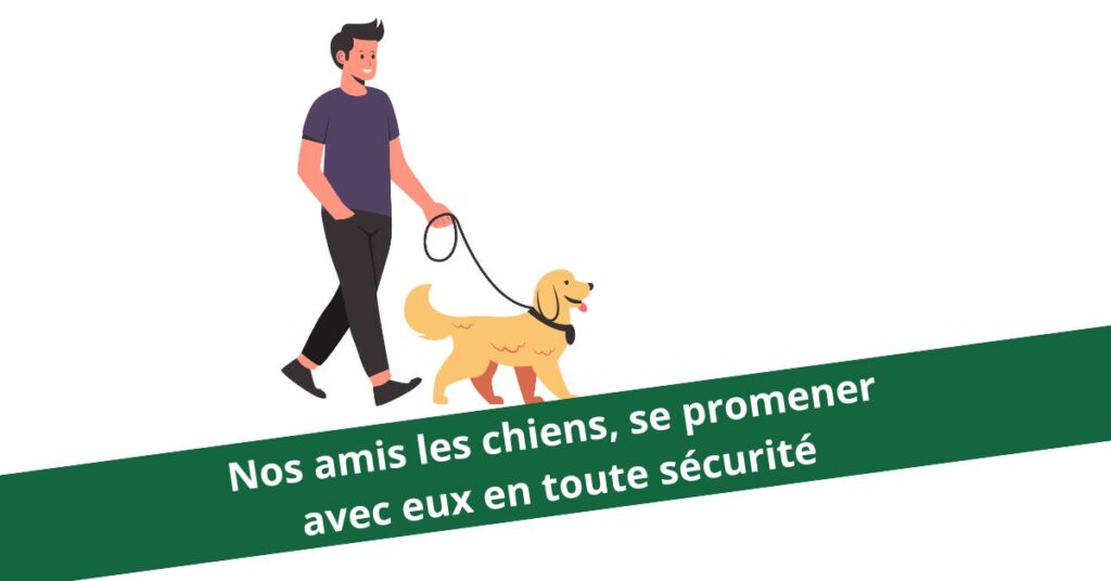 Vignette avec illustration maitre et son chien + texte Noas amis les chiens, se promener avec eux en toute sécurité